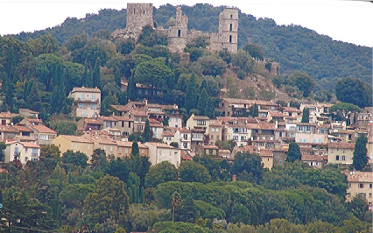 Au Jardin Du Golfe Villa Le Plan-de-la-Tour Esterno foto